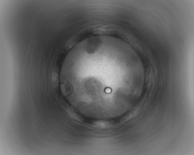 X0000115690749200911191114