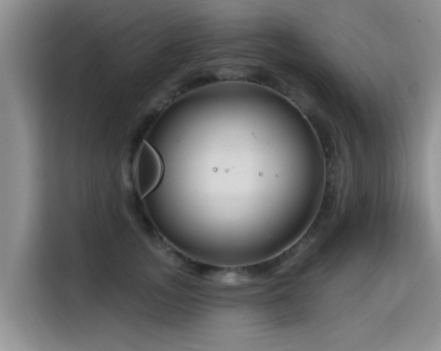 X0000115690755200911191114