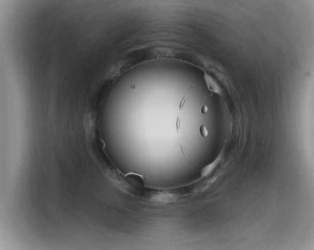 X0000115690759200911191114