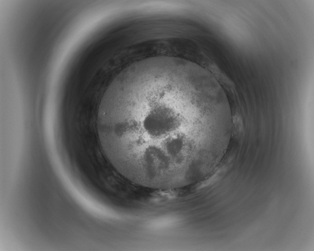 X0000115690765200911191114