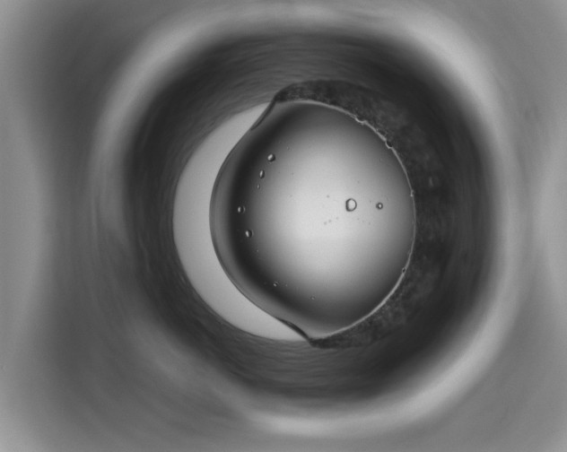 X0000115690766200911191114