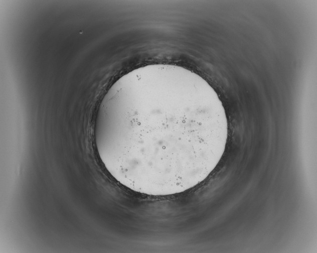 X0000115690769200911191113