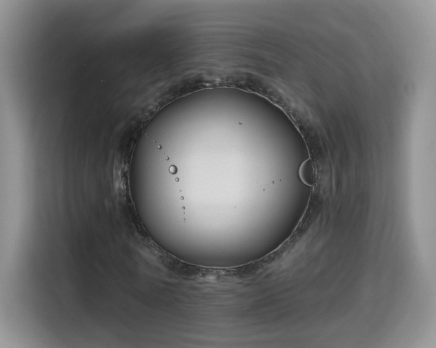 X0000115690770200911191113