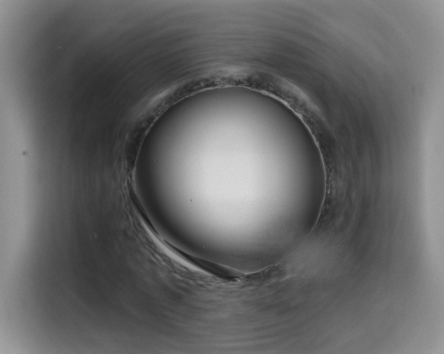 X0000115690773200911191113