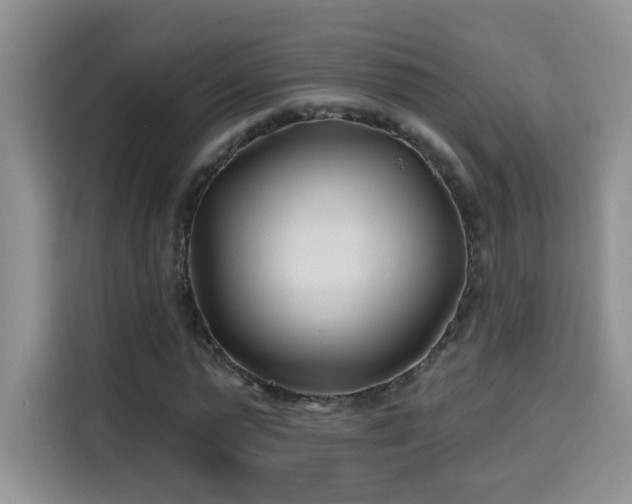 X0000115690775200911191113