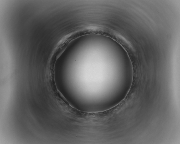 X0000115690776200911191113