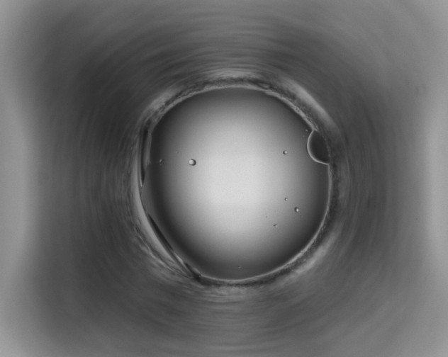 X0000115690777200911191113