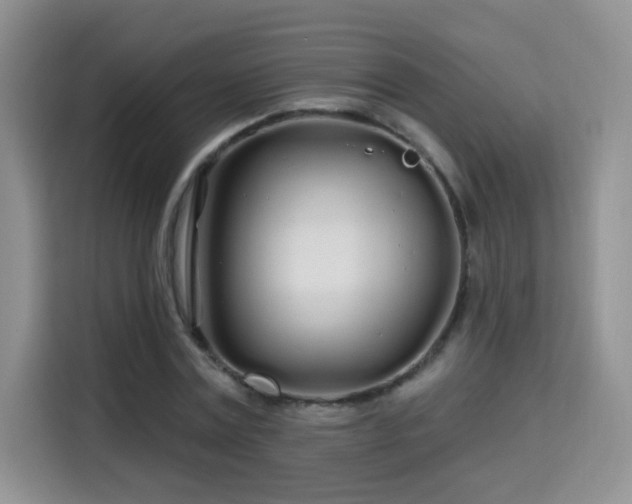 X0000115690779200911191113