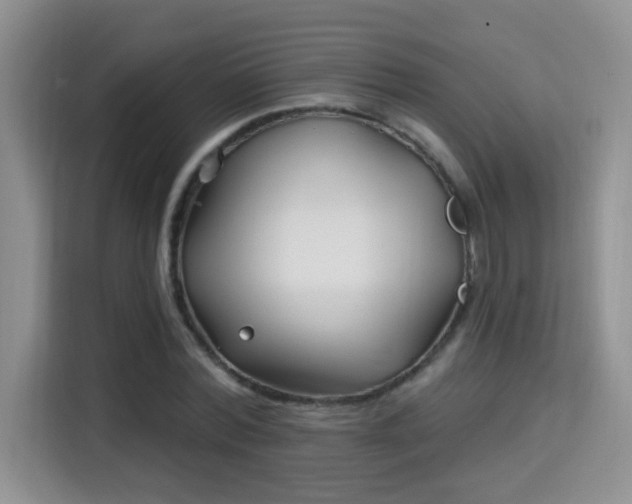 X0000115690780200911191113