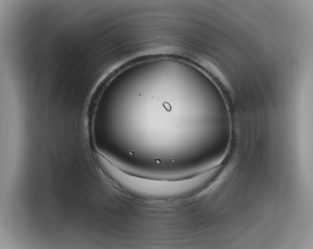 X0000115690781200911191113