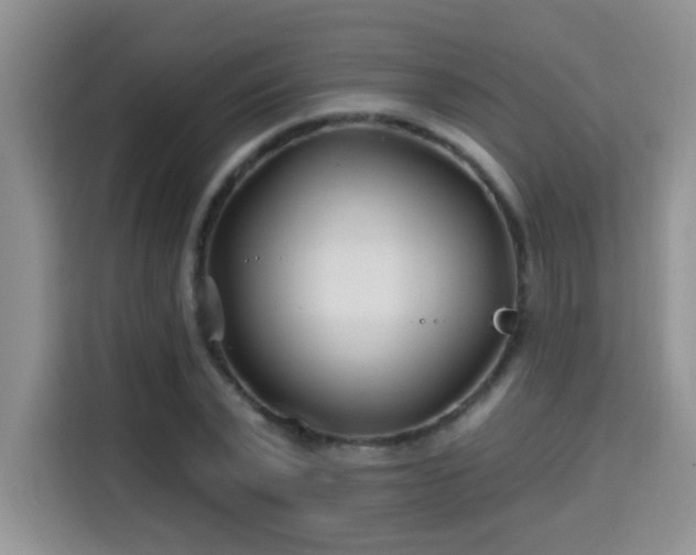 X0000115690783200911191113