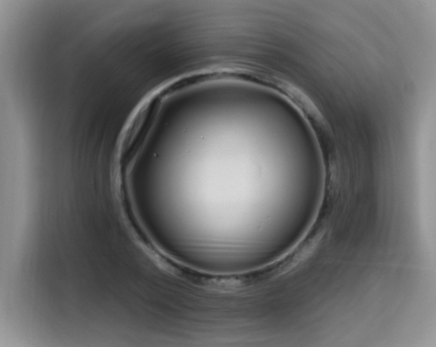 X0000115690784200911191113