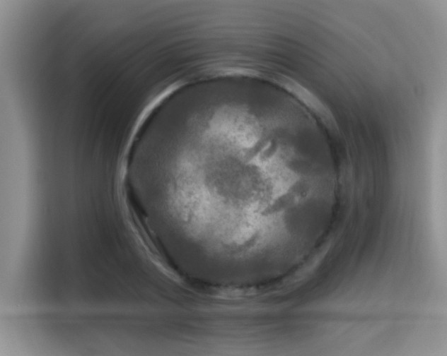 X0000115690790200911191113