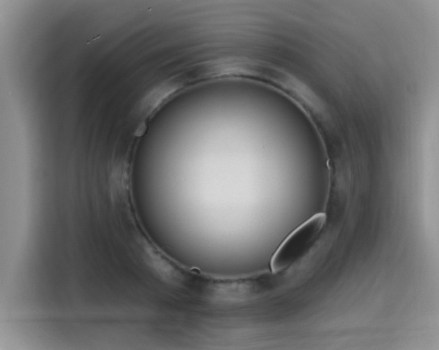 X0000115690793200911191113