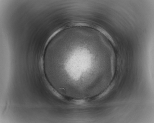 X0000115690798200911191113