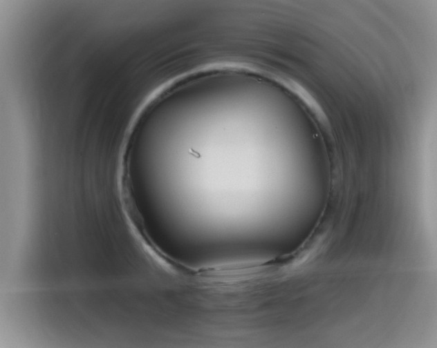 X0000115690799200911191113