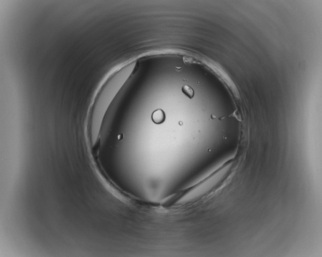 X0000115690805200911191113