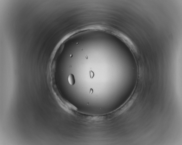 X0000115690808200911191113