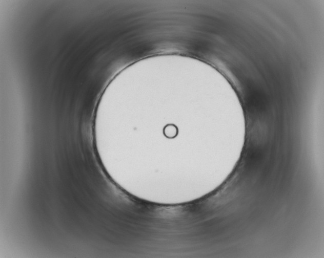 X0000115690810200911191113