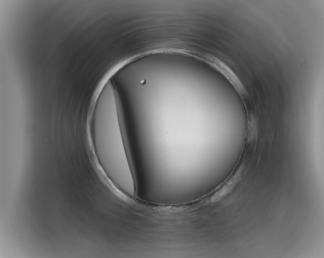 X0000115690812200911191113