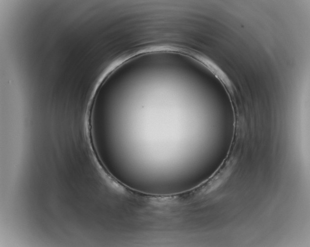 X0000115690813200911191113