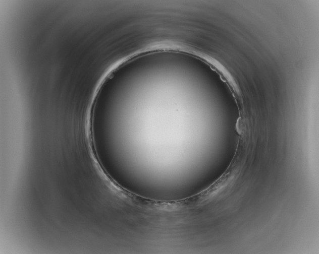 X0000115690815200911191113