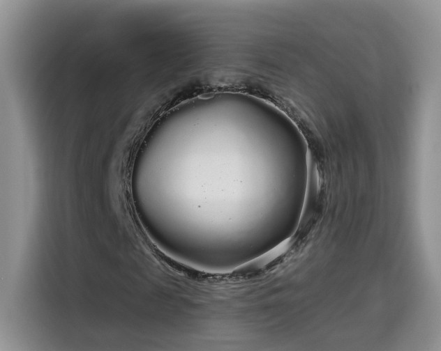 X0000115690817200911191112