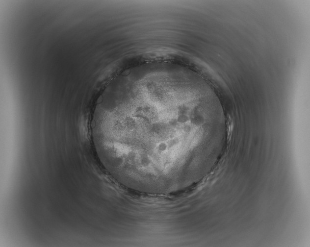 X0000115690819200911191112