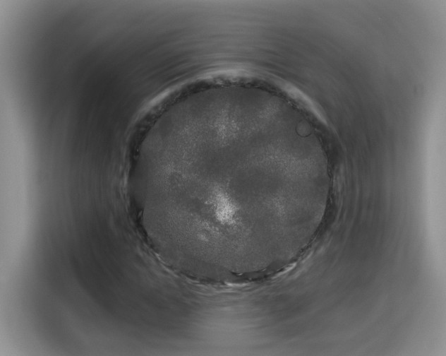 X0000115690822200911191112