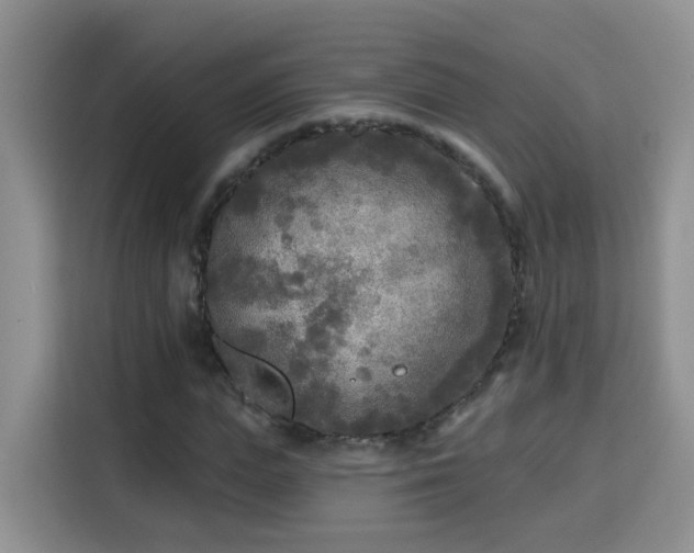 X0000115690823200911191112