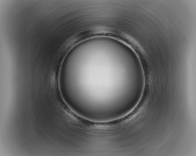 X0000115690825200911191112