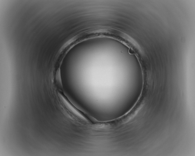 X0000115690826200911191112