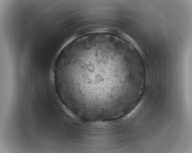 X0000115690827200911191112