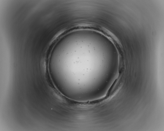 X0000115690829200911191112