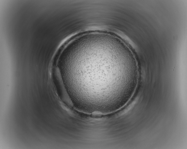 X0000115690830200911191112