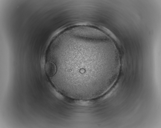 X0000115690831200911191112