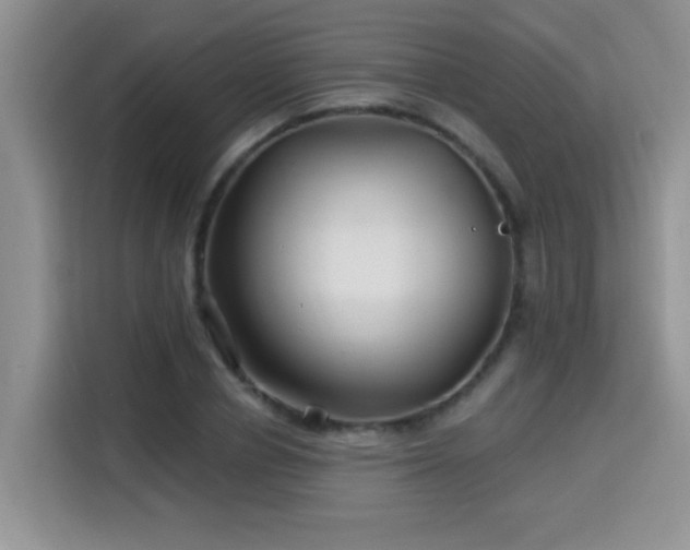 X0000115690834200911191112