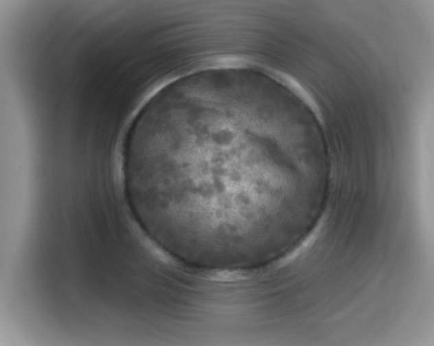 X0000115690835200911191112