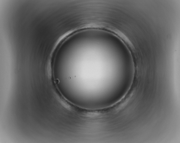 X0000115690838200911191112