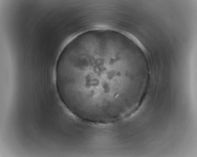 X0000115690839200911191112