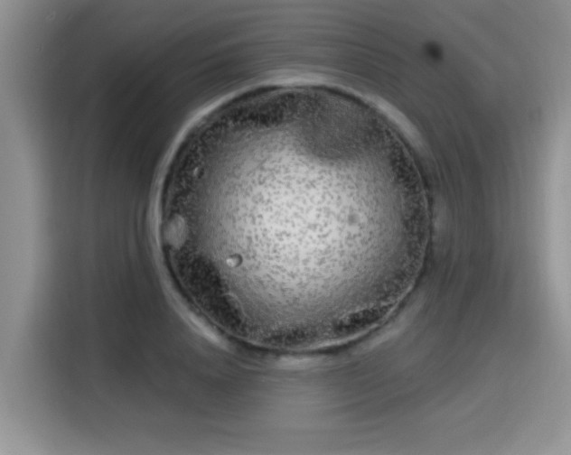 X0000115690840200911191112