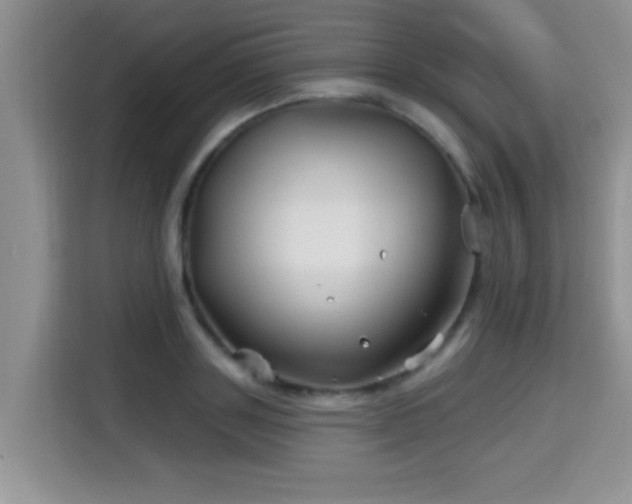 X0000115690843200911191112