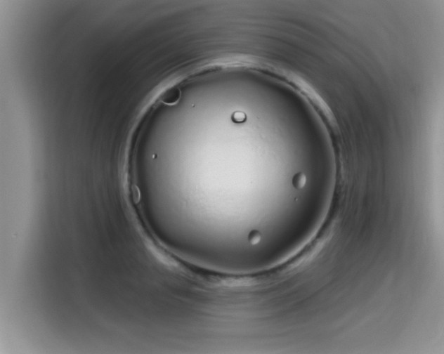 X0000115690845200911191112