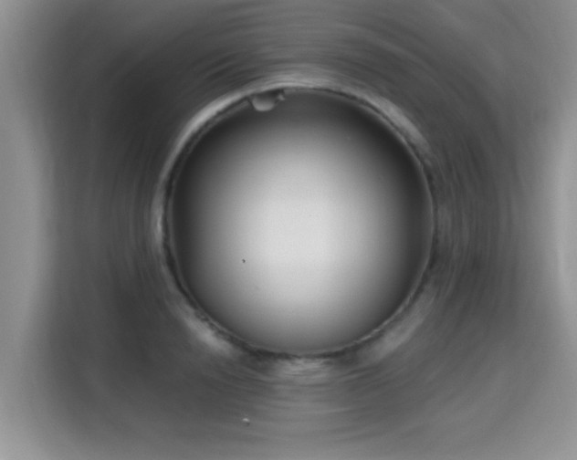 X0000115690846200911191112