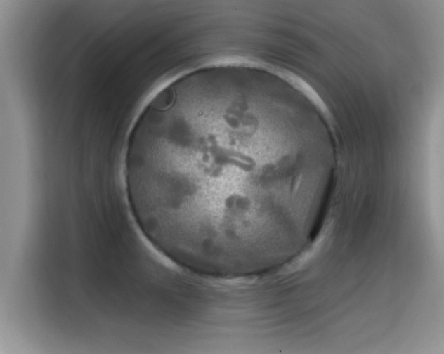 X0000115690847200911191112