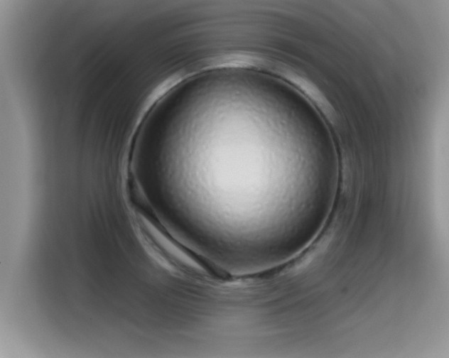 X0000115690850200911191112