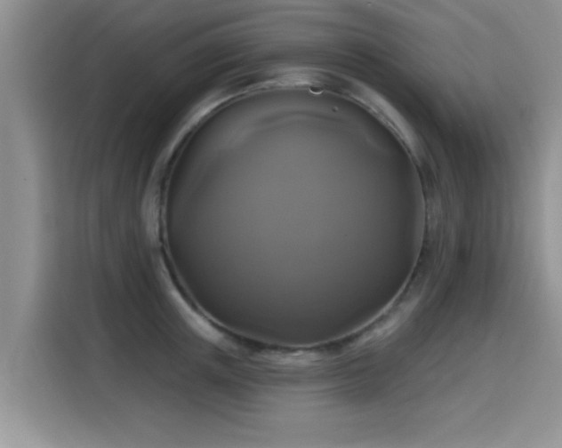 X0000115690851200911191112