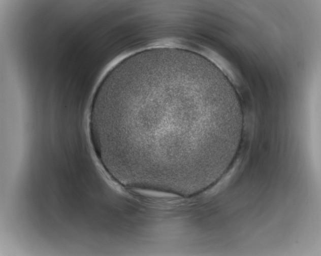 X0000115690854200911191112