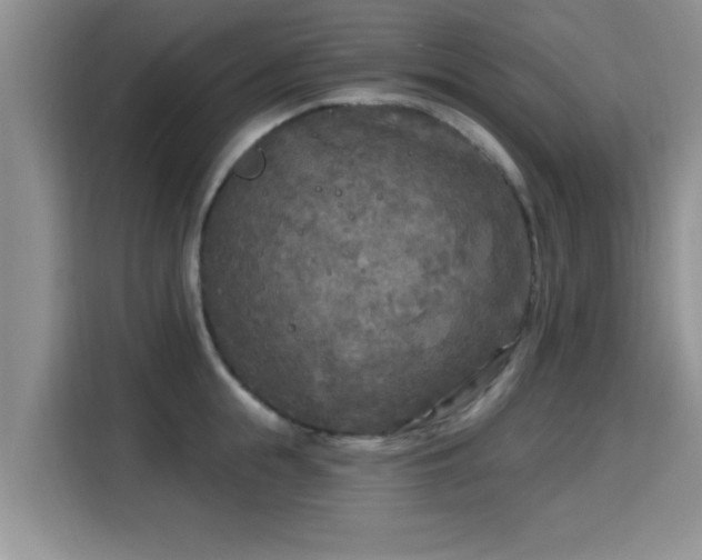 X0000115690855200911191112