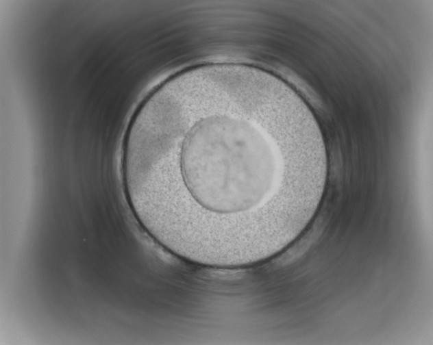 X0000115690856200911191112